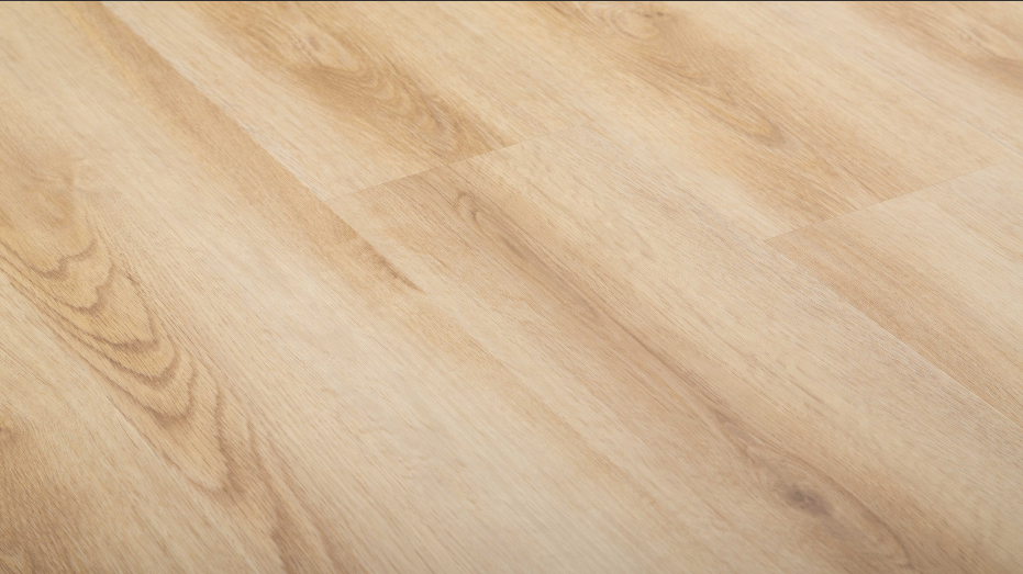 Ekran görüntüsü 2024-01-21 165807