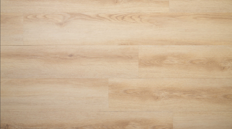 Ekran görüntüsü 2024-01-21 165850