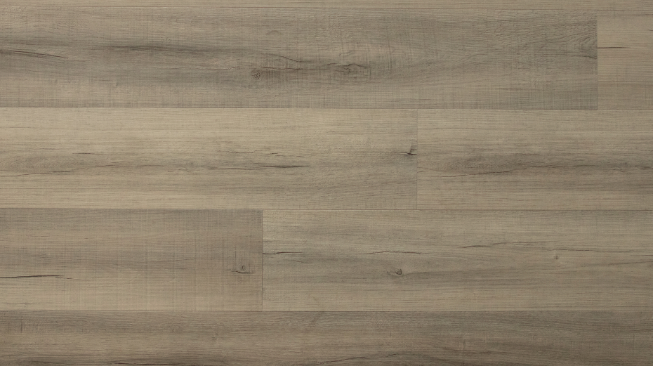 Ekran görüntüsü 2024-01-21 172654