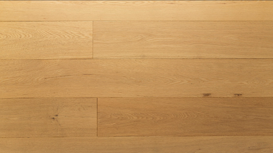 Ekran görüntüsü 2024-01-22 023606